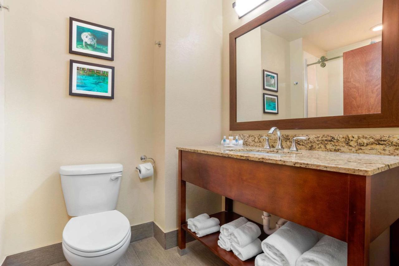 Comfort Suites Tallahassee Capitol - University Area מראה חיצוני תמונה